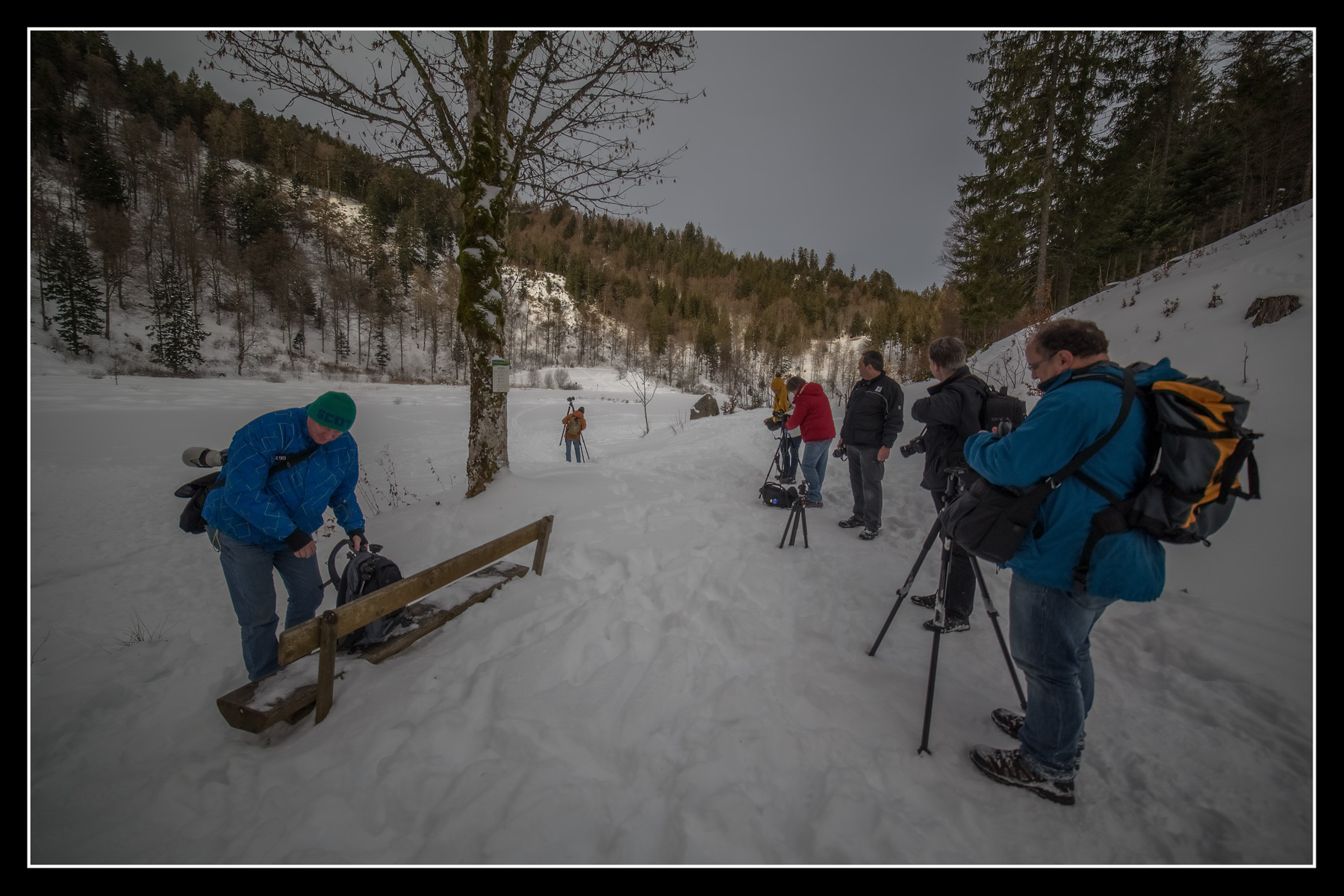 Fototour Nonnenmattweiher 1