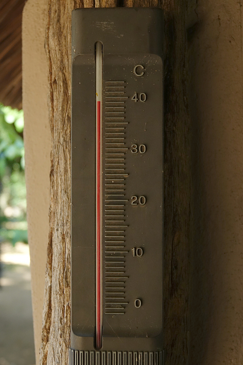 39 °C
