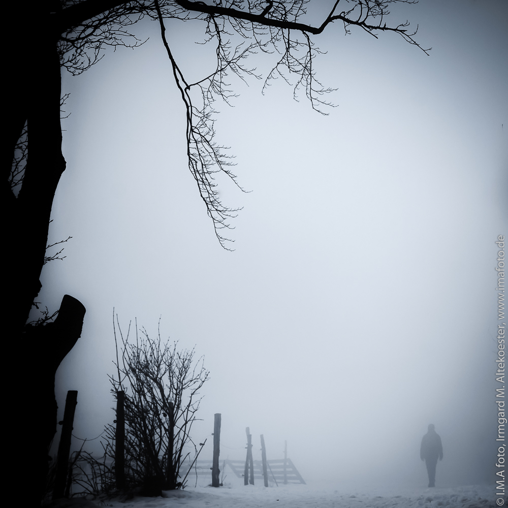 Winternebel