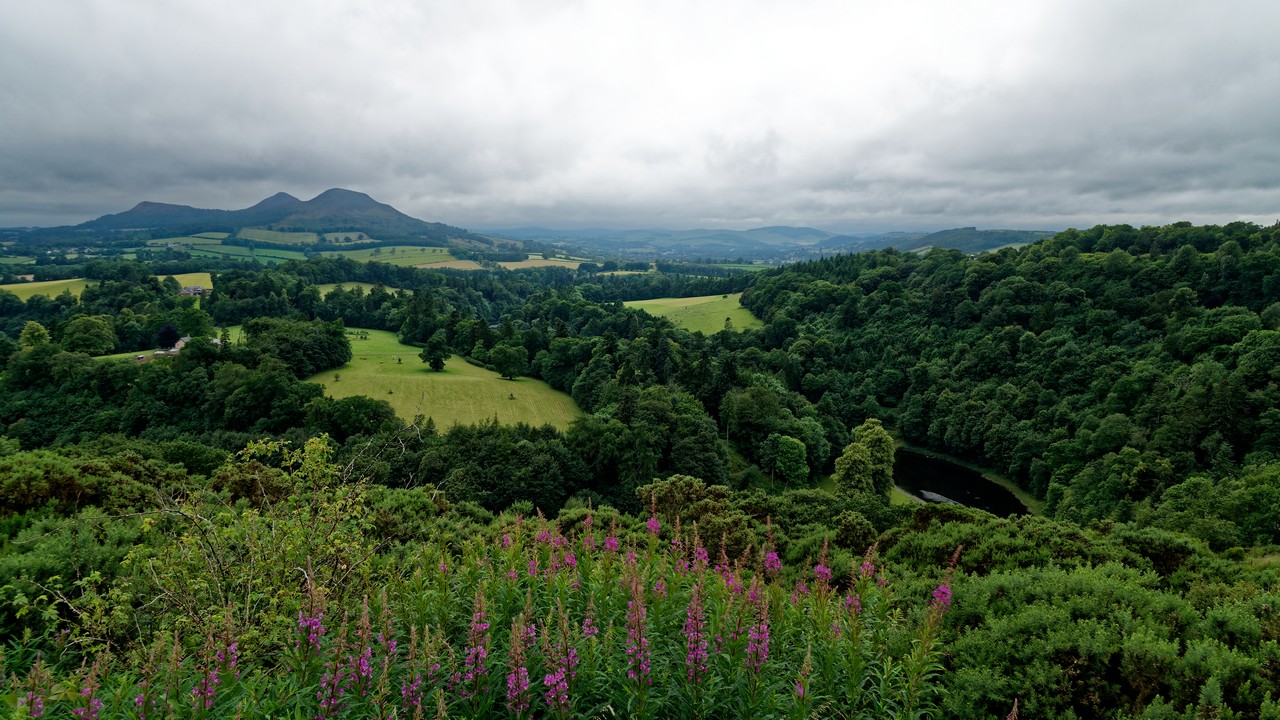 Landschaft