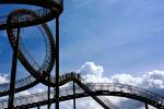 Tiger and Turtle