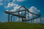 Tiger & Turtle