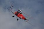 DH Tiger Moth 2/2