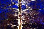 WinterLichter1