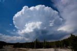 Yellowstone 03 07