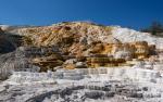 Mammoth Hot Springs 02