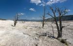 Mammoth Hot Springs 04