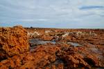 Quobba Blow Holes