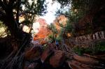 Karijini National Park