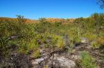 Wolfe Creek Crater