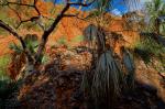 Purnululu-Nationalpark