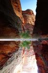 Purnululu-Nationalpark