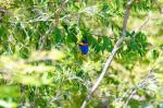 Katherine Gorge