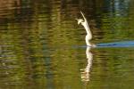 Kakadu Nationalpark