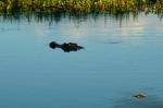 Kakadu Nationalpark