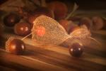 Stillleben mit Physalis