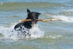 Stella in der Ostsee 4