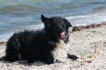 Stella in der Ostsee 5