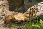 Usertreffen Zoo Nürnberg 2