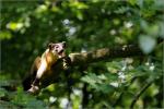 Usertreffen Zoo Nürnberg 4