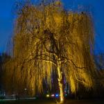 Winterlichter_03