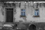 Blumen im Fenster