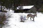 4. Platz: Winterfreude