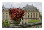 Würzburg Residenz Detail (1)