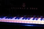 Steinway & Sons im Jazzclub Unterfahrt, München