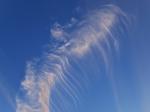 Ein Cirrus vertebratus