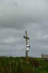 Juni 2013 - Ein Kreuz mit dem Wetter