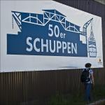 50ger Schuppen