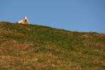 Schottland - Easdale - Cullipool