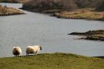 Schottland - Easdale - Cullipool