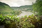 Stammtischtreffen Koblenz in Cochem