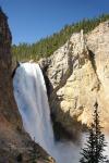 Yellowstone Falls