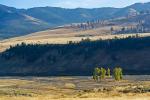 Lamar Valley 2