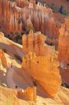 Bryce Canyon 03