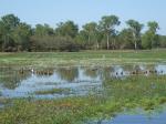 Kakadu NP