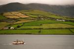 Irland 2014 - Dingle und Umgebung