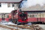 Ffestiniog & Welsh Highland Railways 3