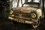 Neandertal - Oldtimer Skulpturenpark