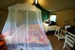 Tented camp