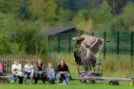 Wildpark Poing Bild 09