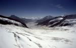 Grindelwald_Aletschgletscher