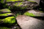 Steine in Dingle (Irland)