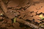 Langsamer Zerfall unter Wasser