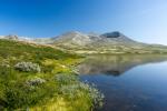 Rondane