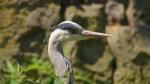 Zoo Krefeld