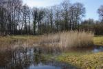 Tour um den de Wittsee oder Nex-7 mit SEL18-200